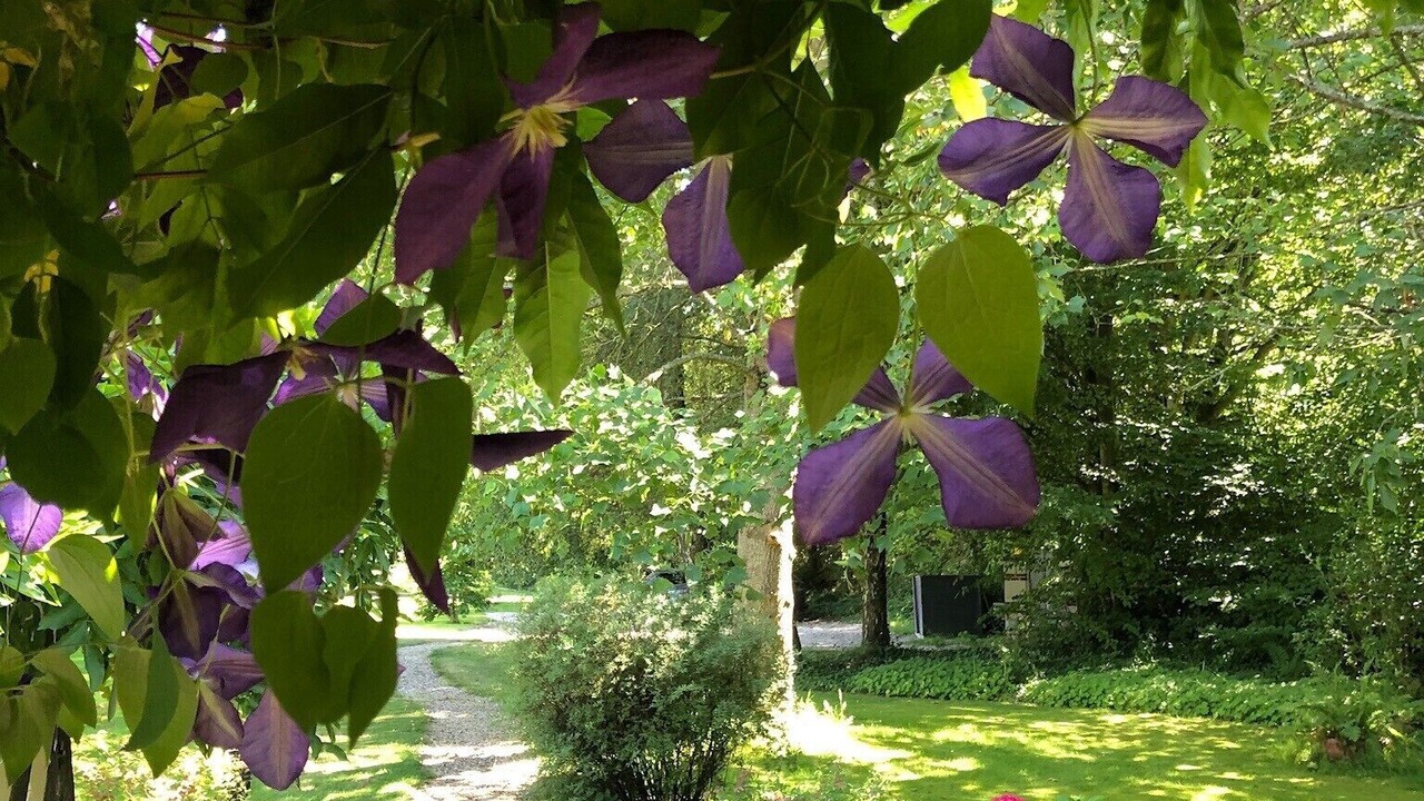 Photo of Outdoor in Manneville-la-Raoult