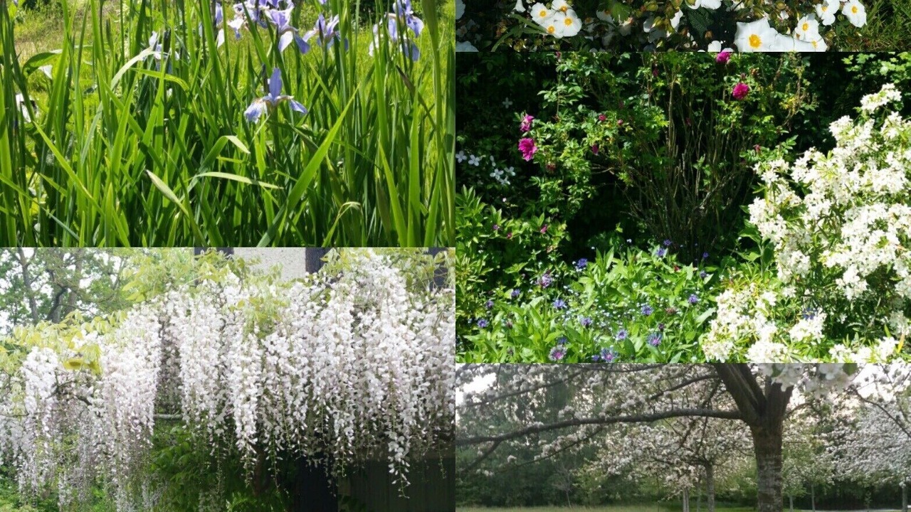 Photo of Outdoor in Manneville-la-Raoult