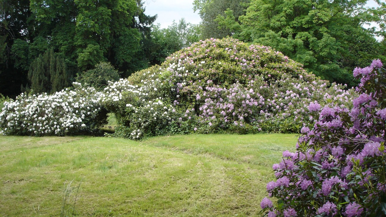 Photo of Outdoor in Saint-Leger-Vauban