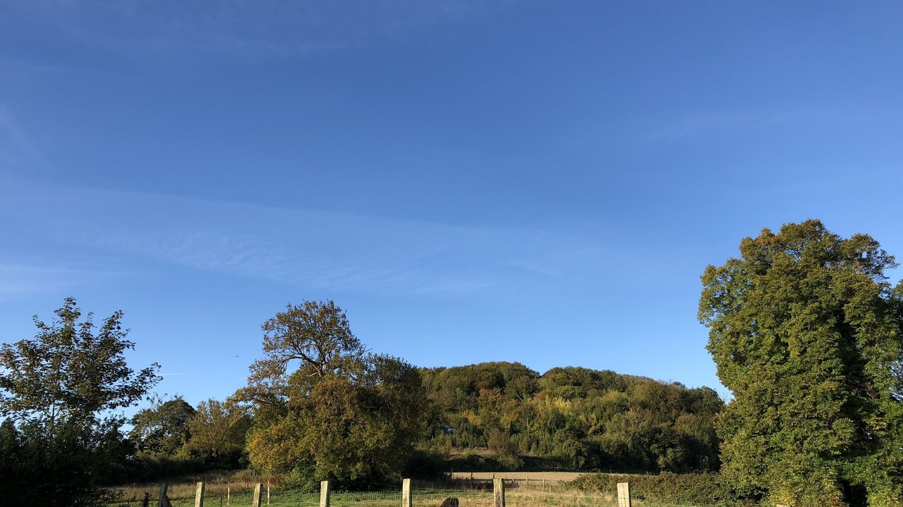 Photo of Outdoor in Tingry