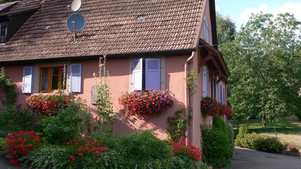 Photo of Outdoor in Maisonsgoutte