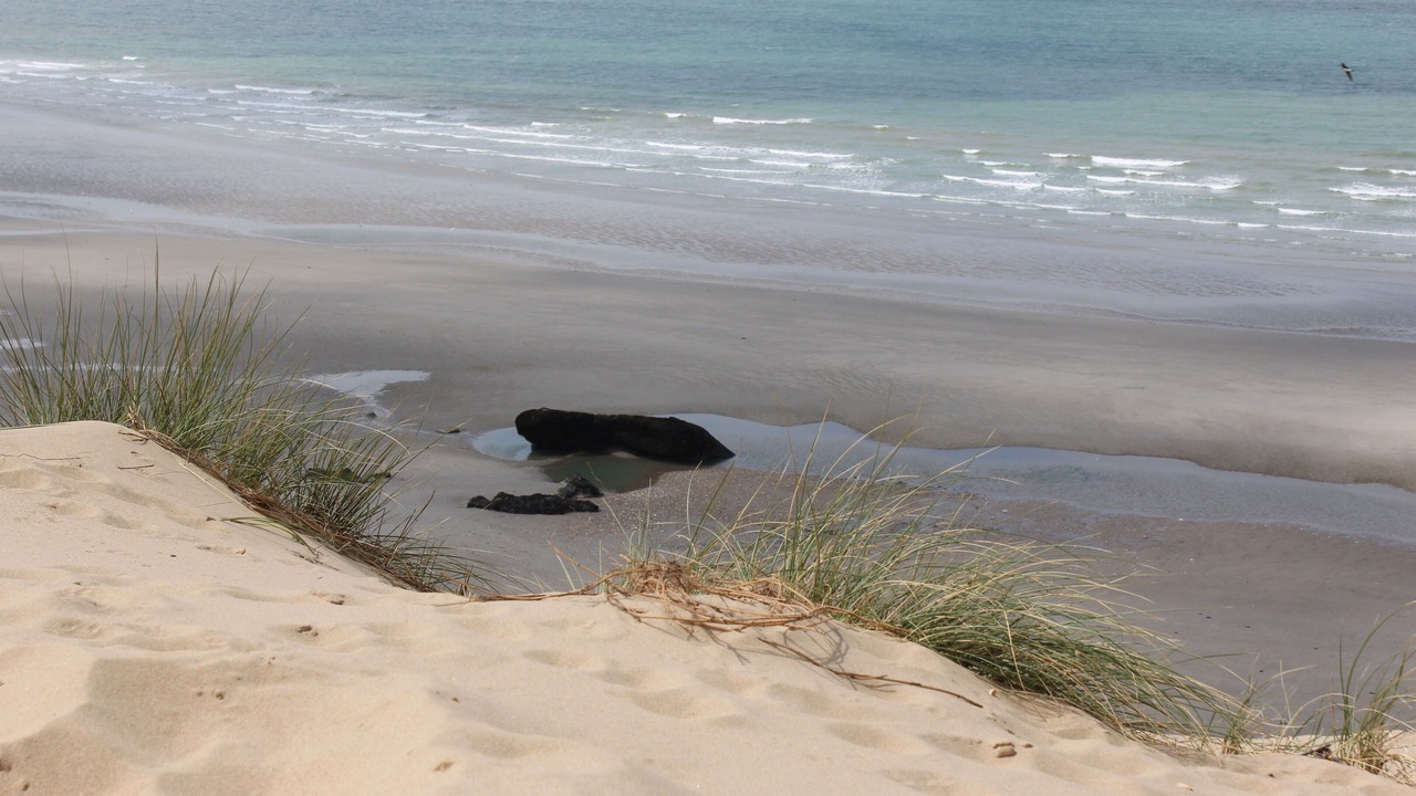 Photo of Others in Wimereux
