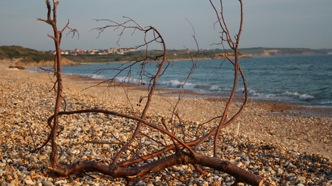 Photo of Others in Wimereux