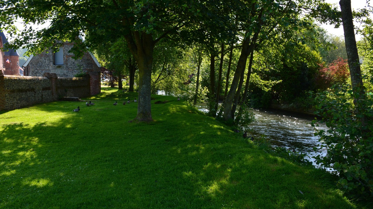 Photo of Outdoor in Criel-sur-Mer