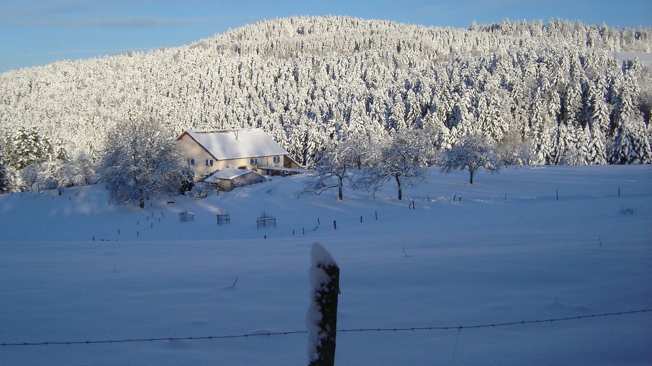 Photo of Others in Girmont-Val-d'Ajol
