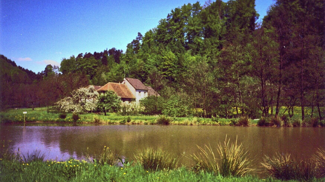 Photo of Outdoor in Eschbourg