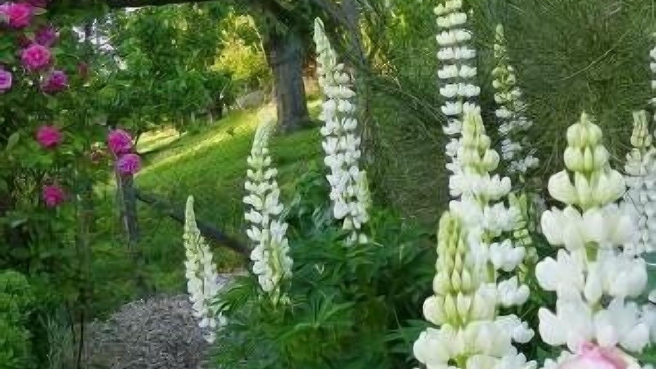 Photo of Outdoor in Ablon