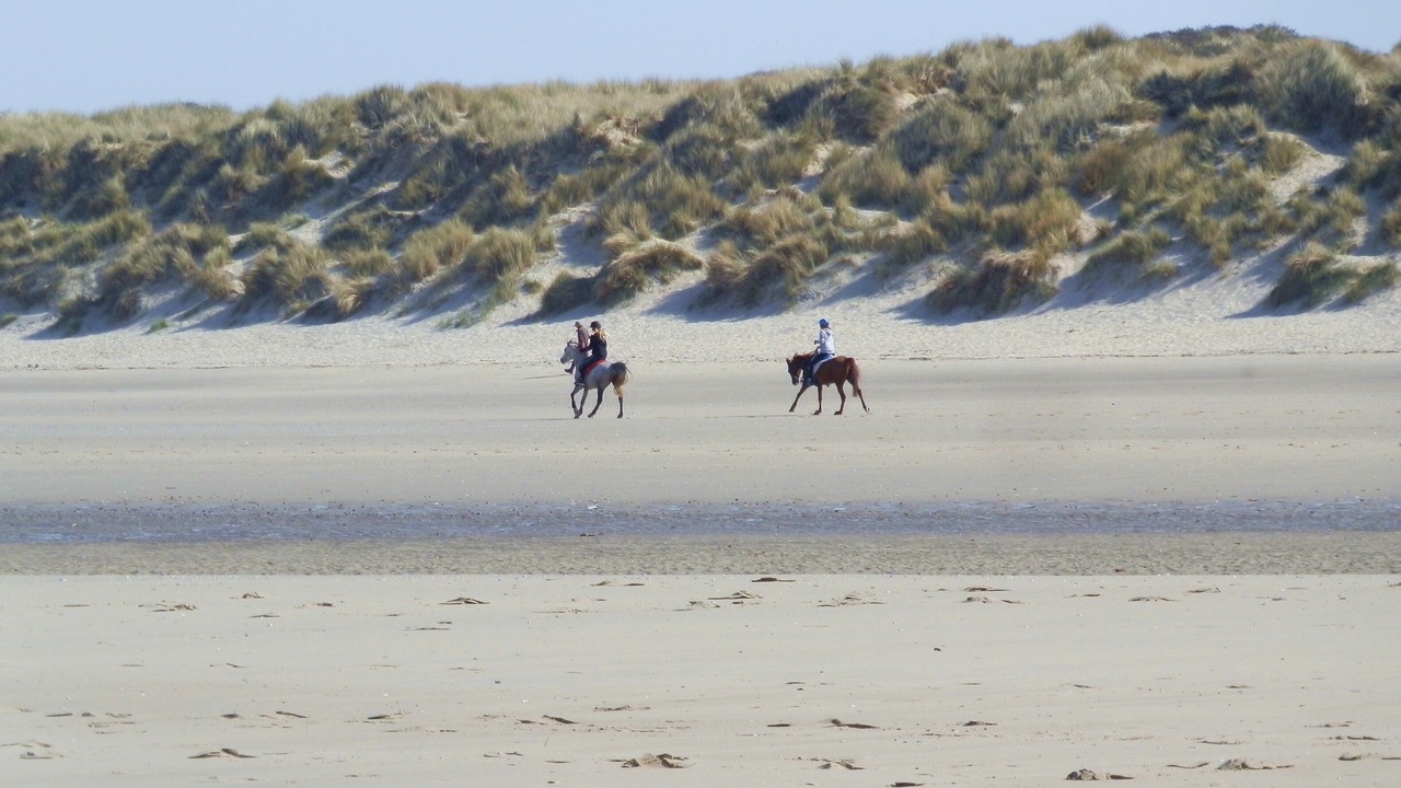 Photo of Others in Sainte-Cecile-Plage