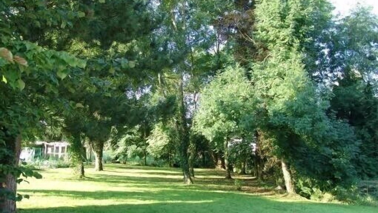 Photo of Outdoor in Noyelles-sur-Mer