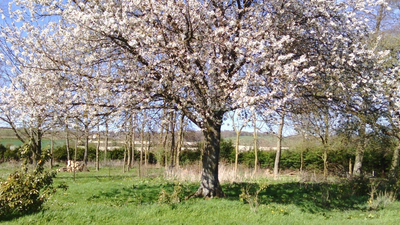 Photo of Outdoor in Alembon