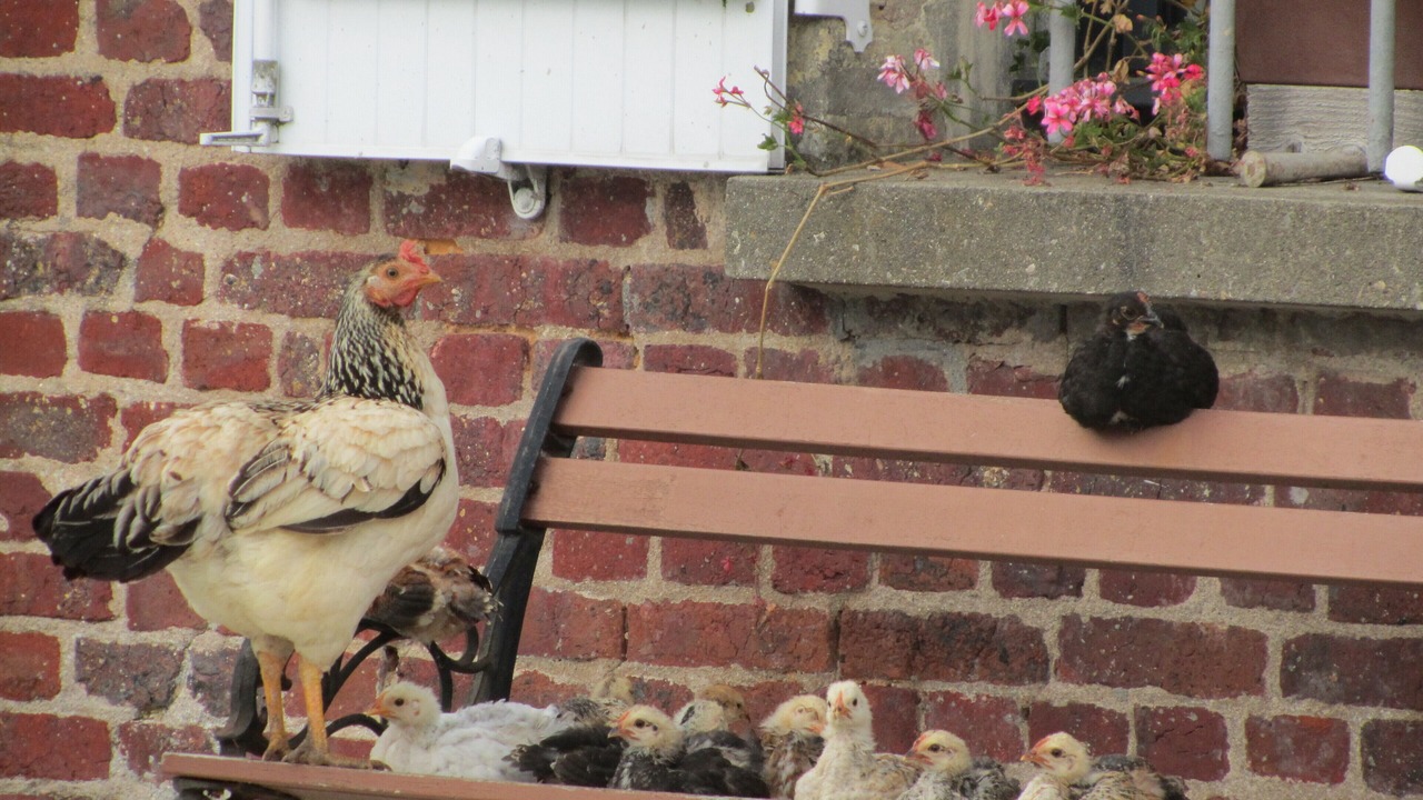 Photo of Outdoor in Montivilliers