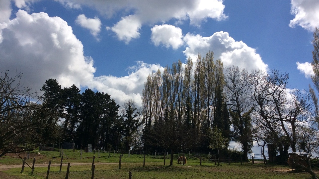 Photo of Outdoor in Montivilliers