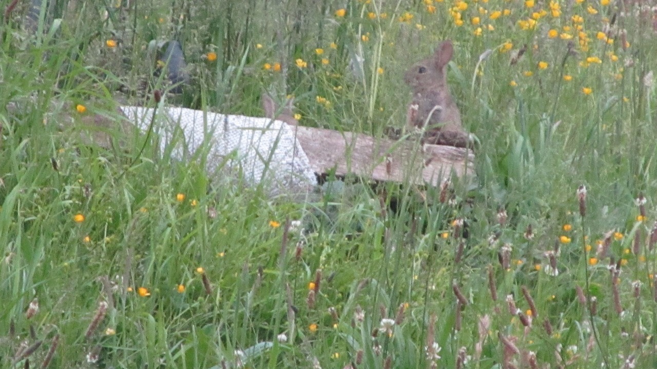 Photo of Outdoor in Montivilliers