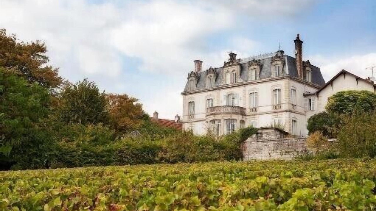 Photo of Outdoor in Mercurey