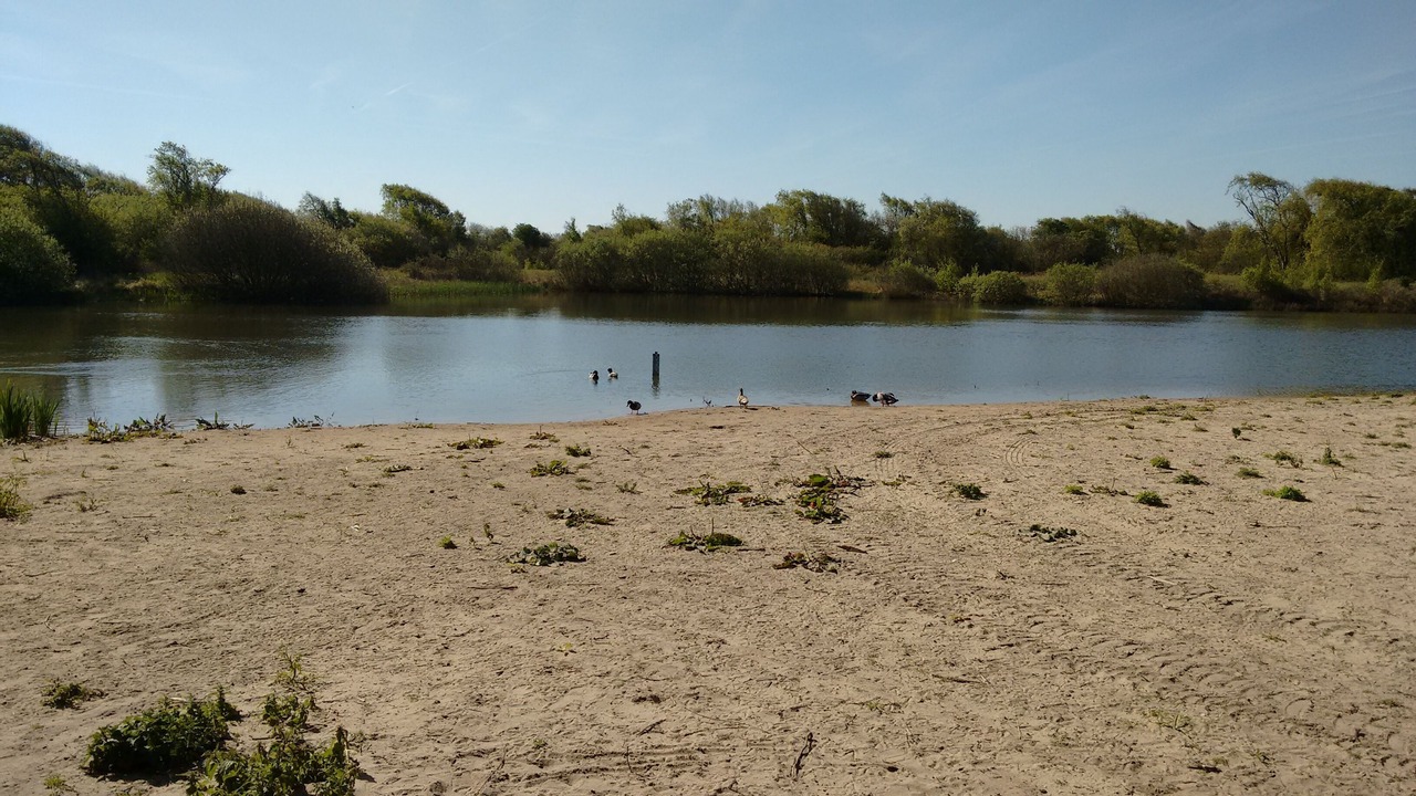 Photo of Others in Fort-Mahon-Plage