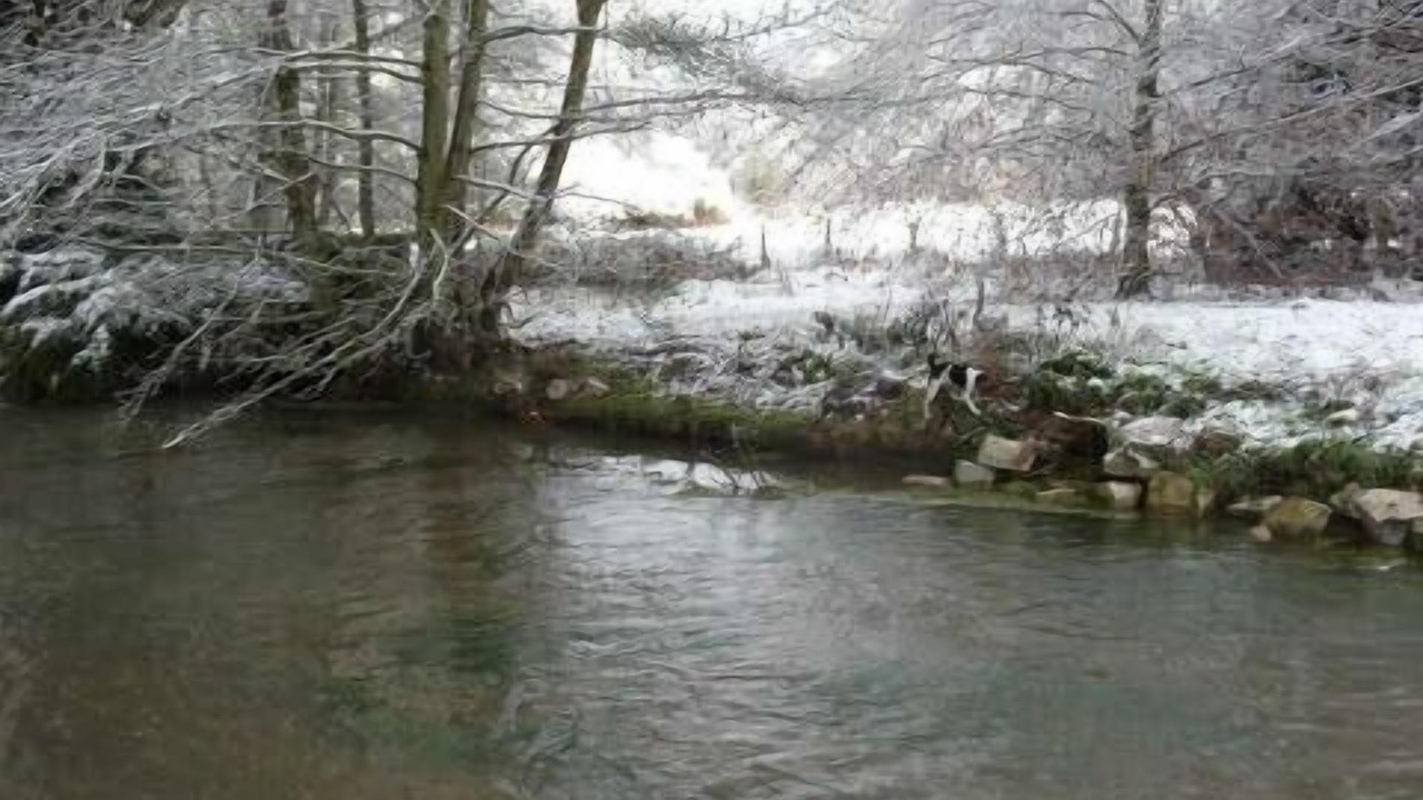 Photo of Others in Val-de-Saane