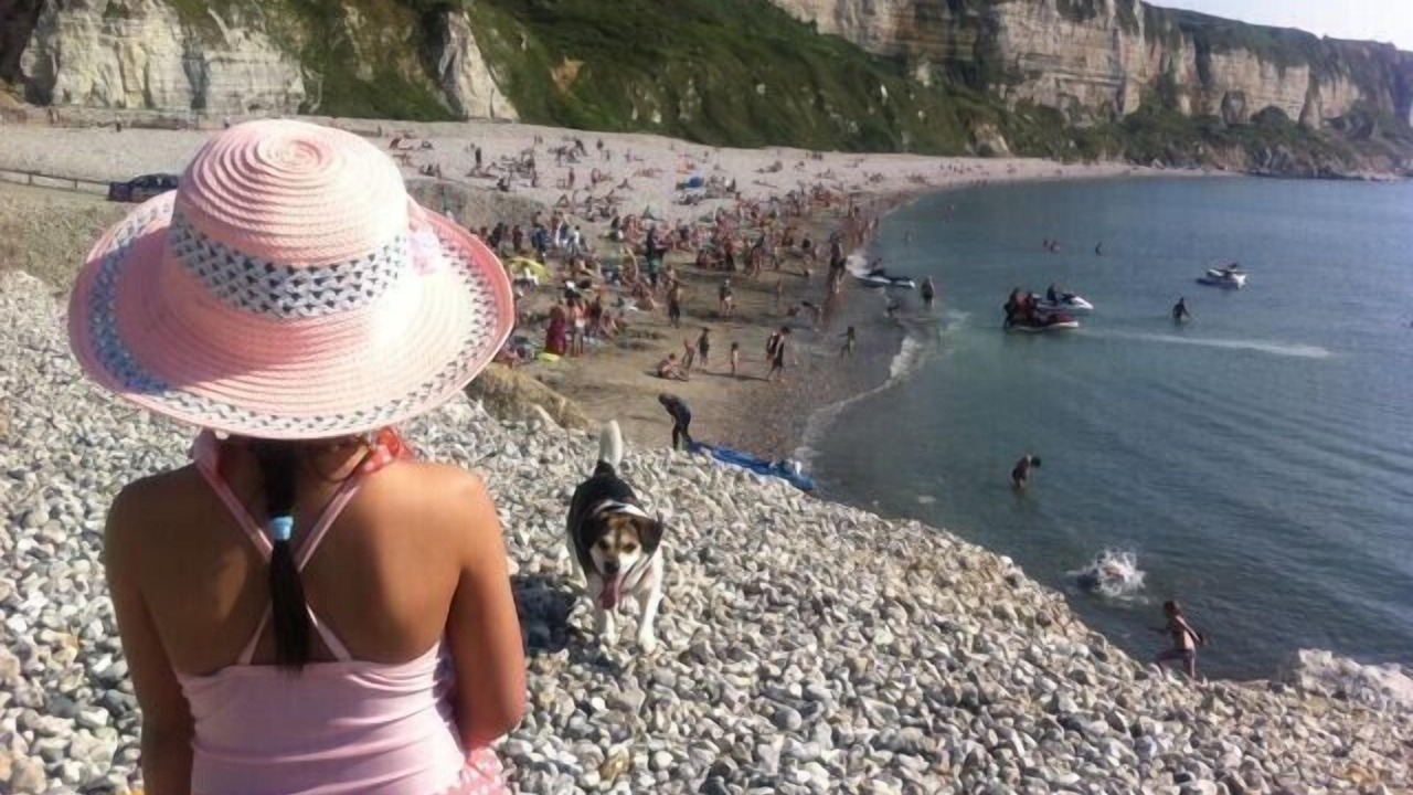 Photo of Others in Saint-Jouin-Bruneval