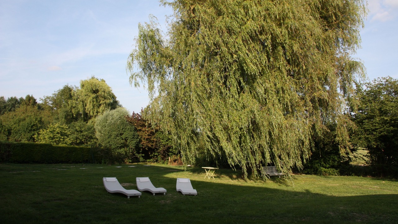 Photo of Outdoor in Coucy
