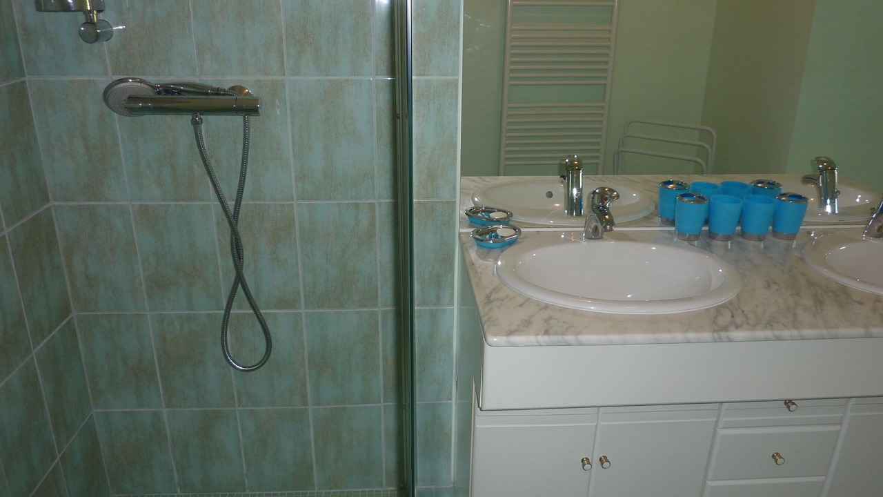 Photo of Bathroom in La Luzerne