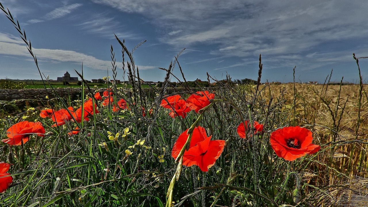 Photo of Outdoor in Audresselles