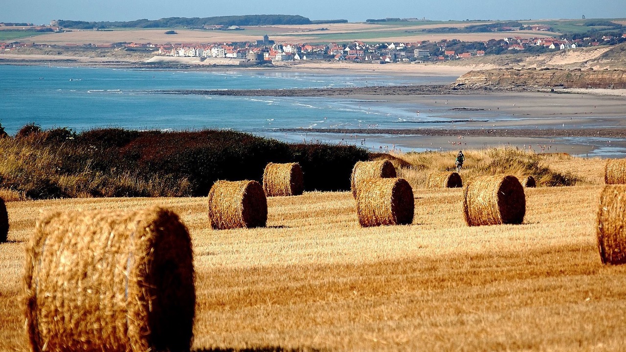 Photo of Others in Audresselles