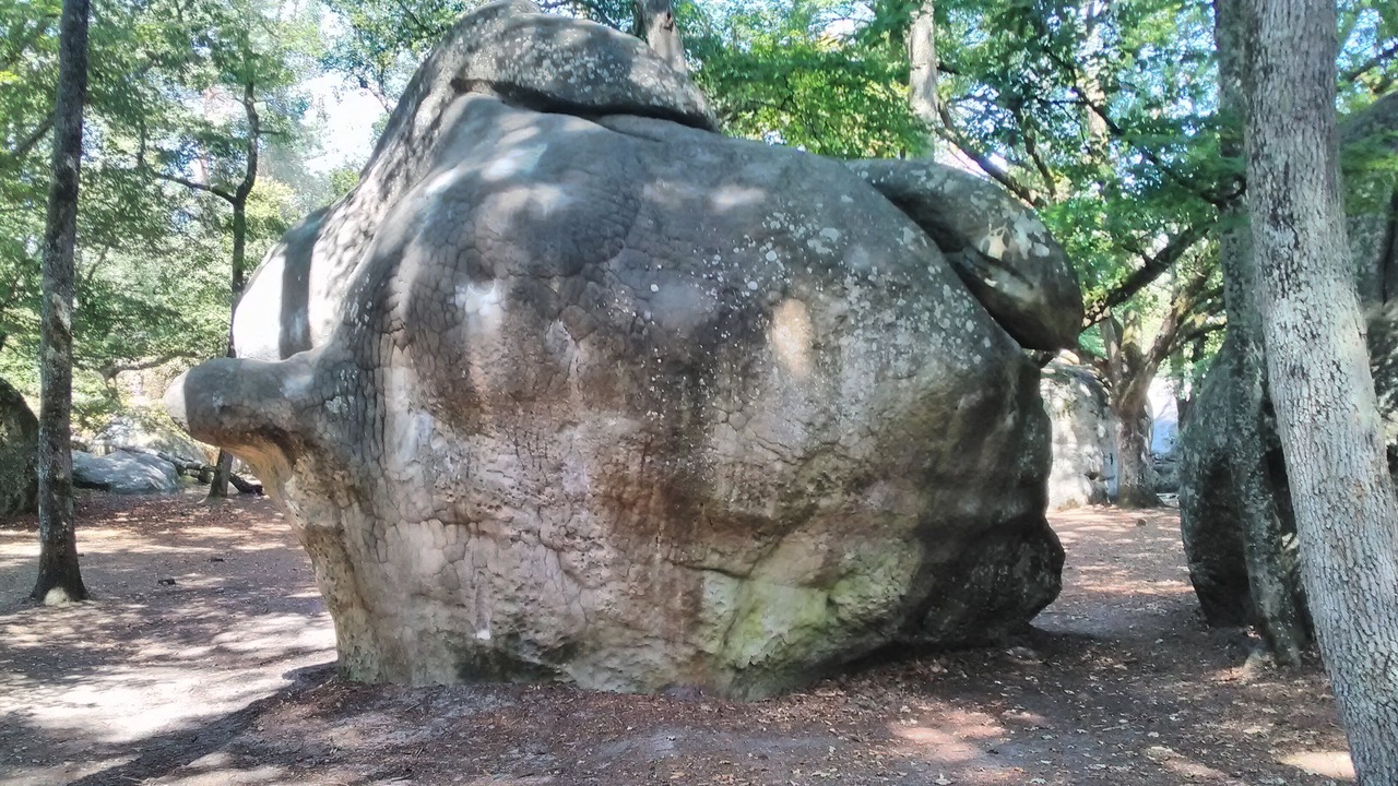 Photo of Outdoor in Recloses
