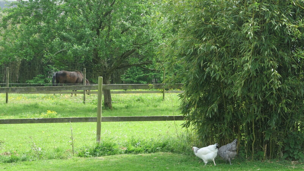 Photo of Outdoor in Barentin