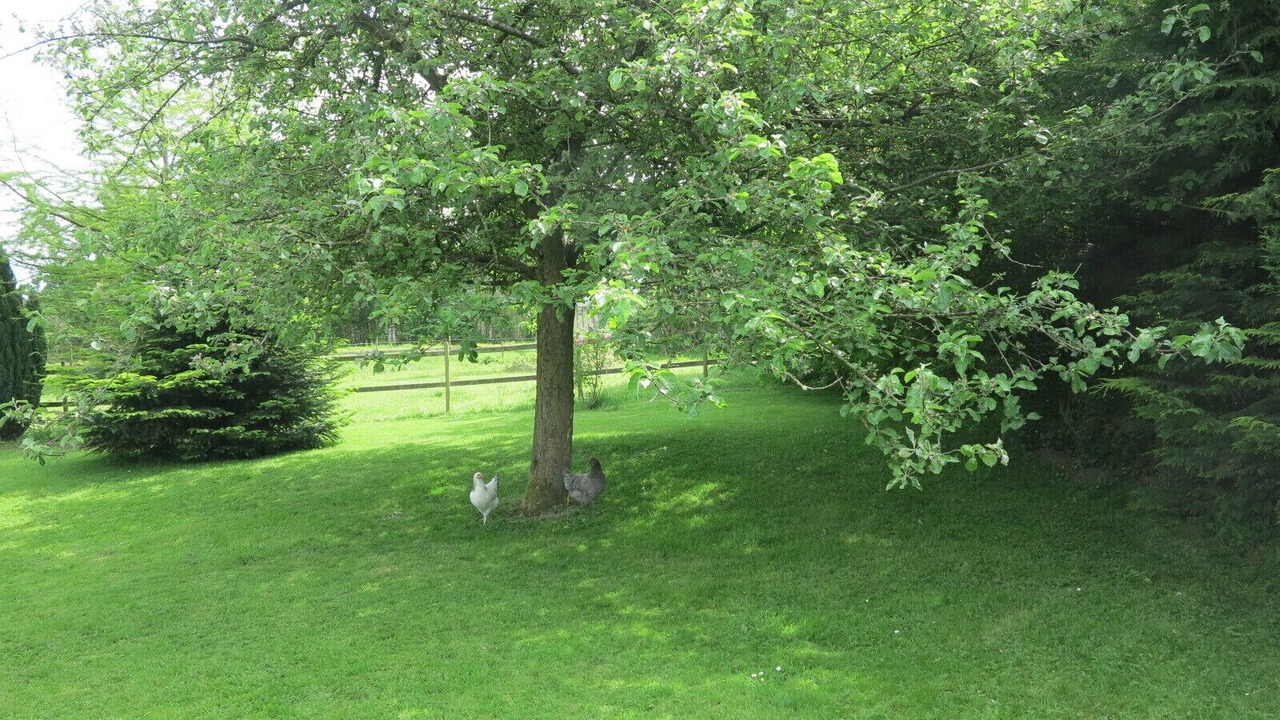 Photo of Outdoor in Barentin