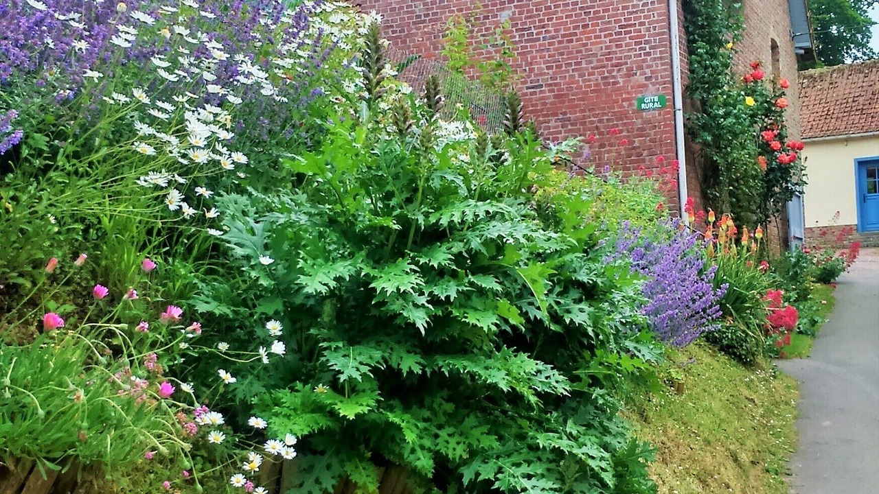 Photo of Outdoor in Mons-Boubert