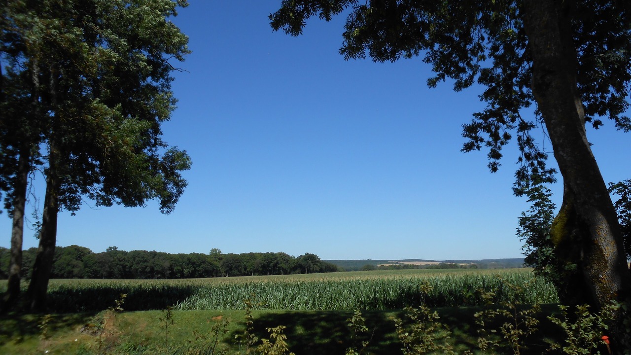 Photo of Others in Sennevoy-le-Bas