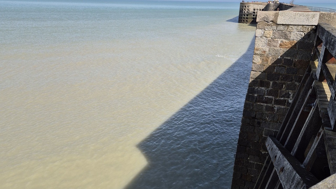 Photo of Others in Dieppe