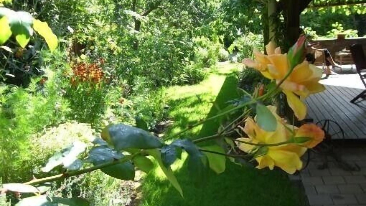 Photo of Outdoor in Mittelhausen