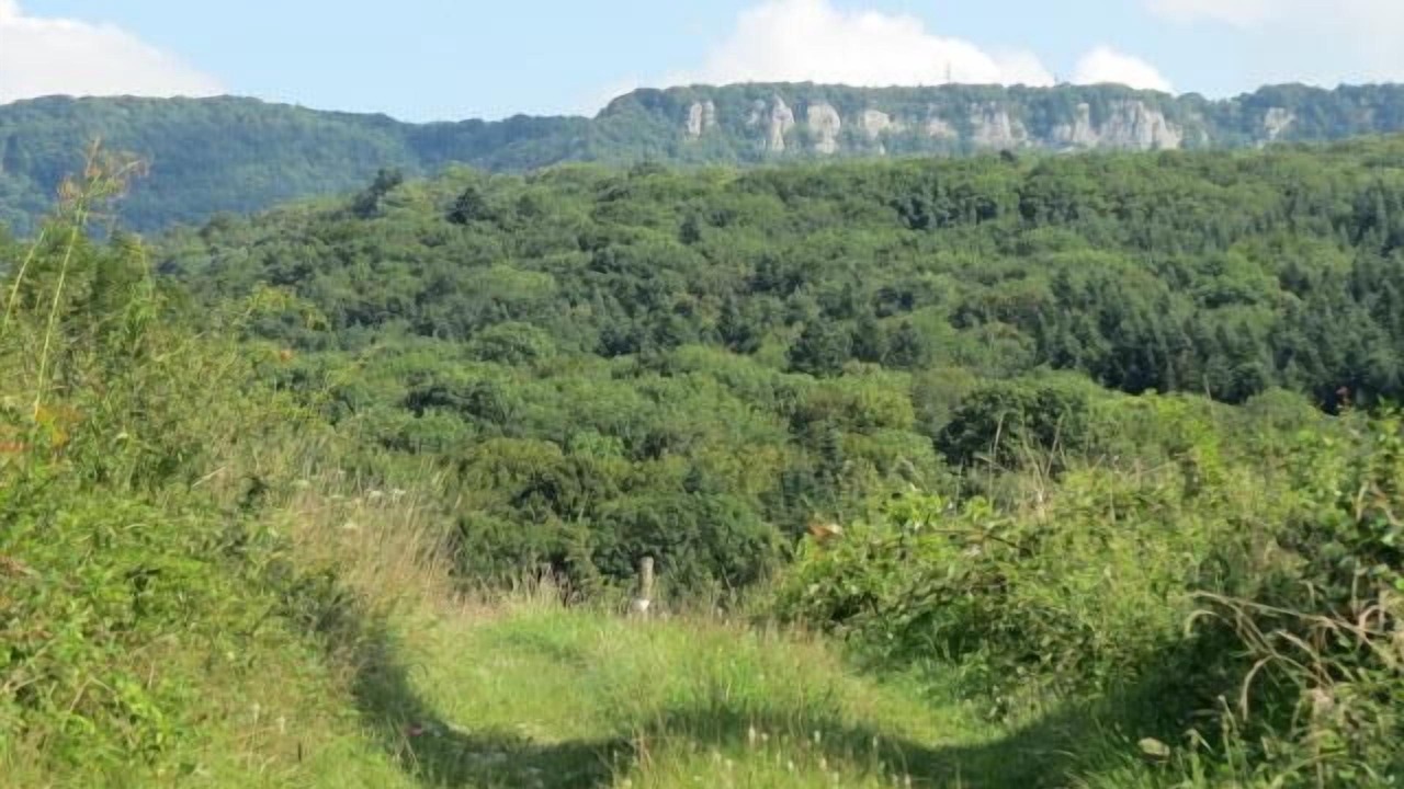 Photo of Outdoor in La Chapelle-sur-Furieuse