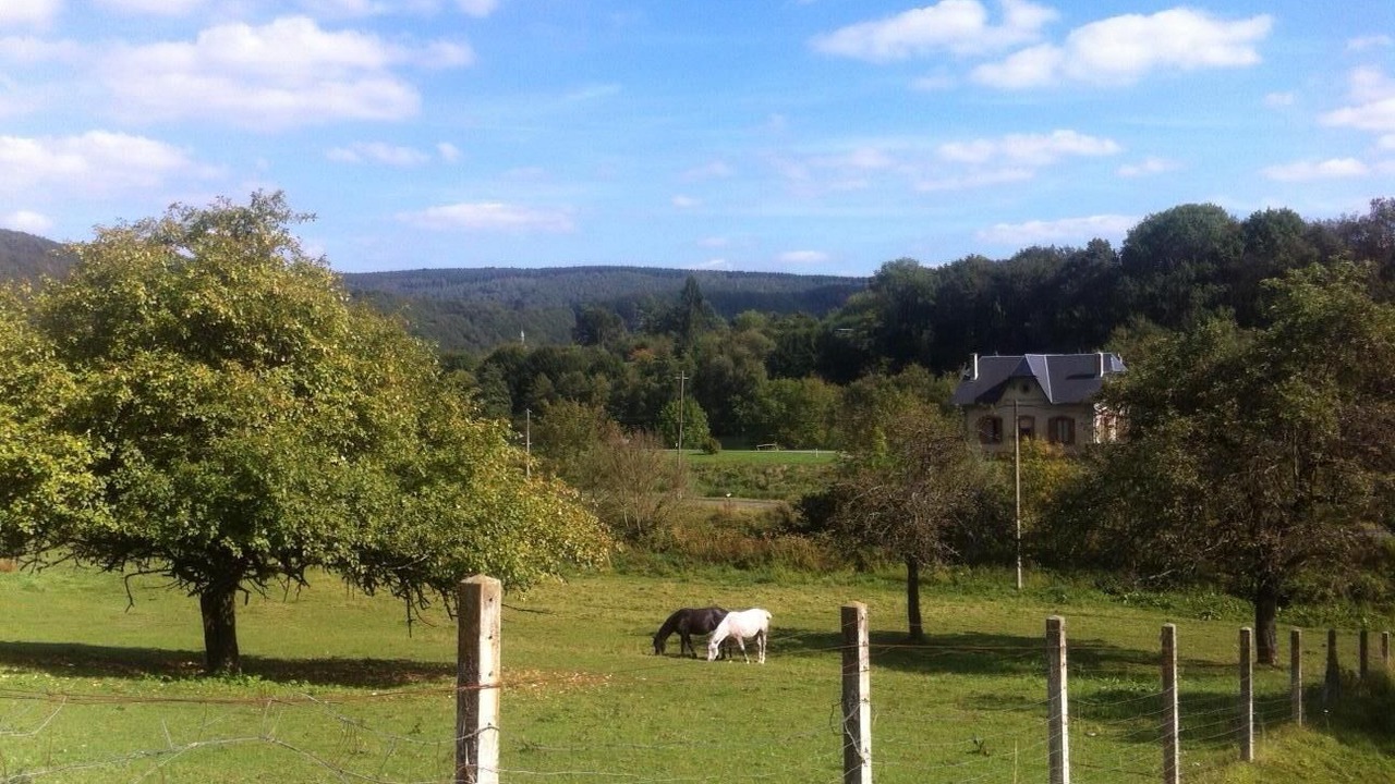 Photo of Others in Vallees et Plateau d'Ardenne