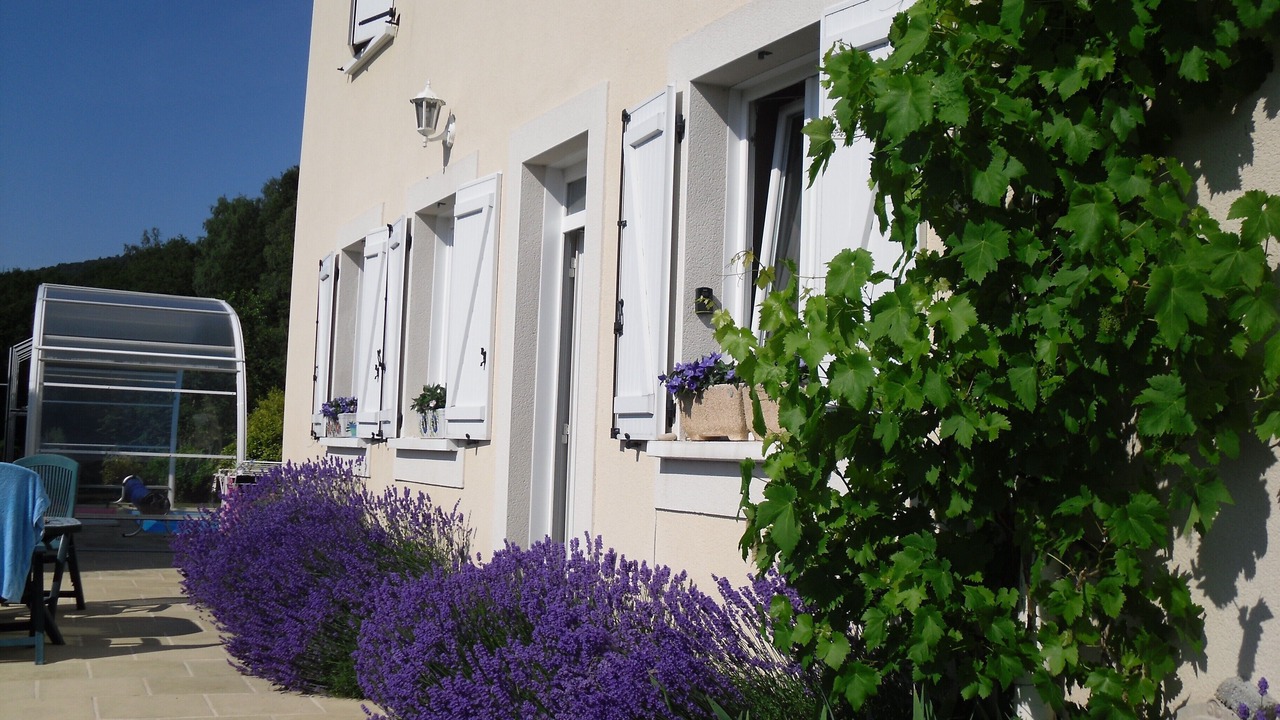 Photo of Others in Vallees et Plateau d'Ardenne