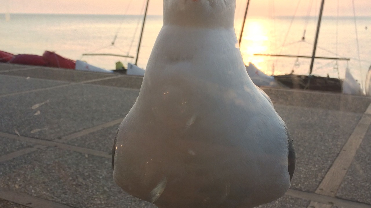 Photo of Others in Etretat