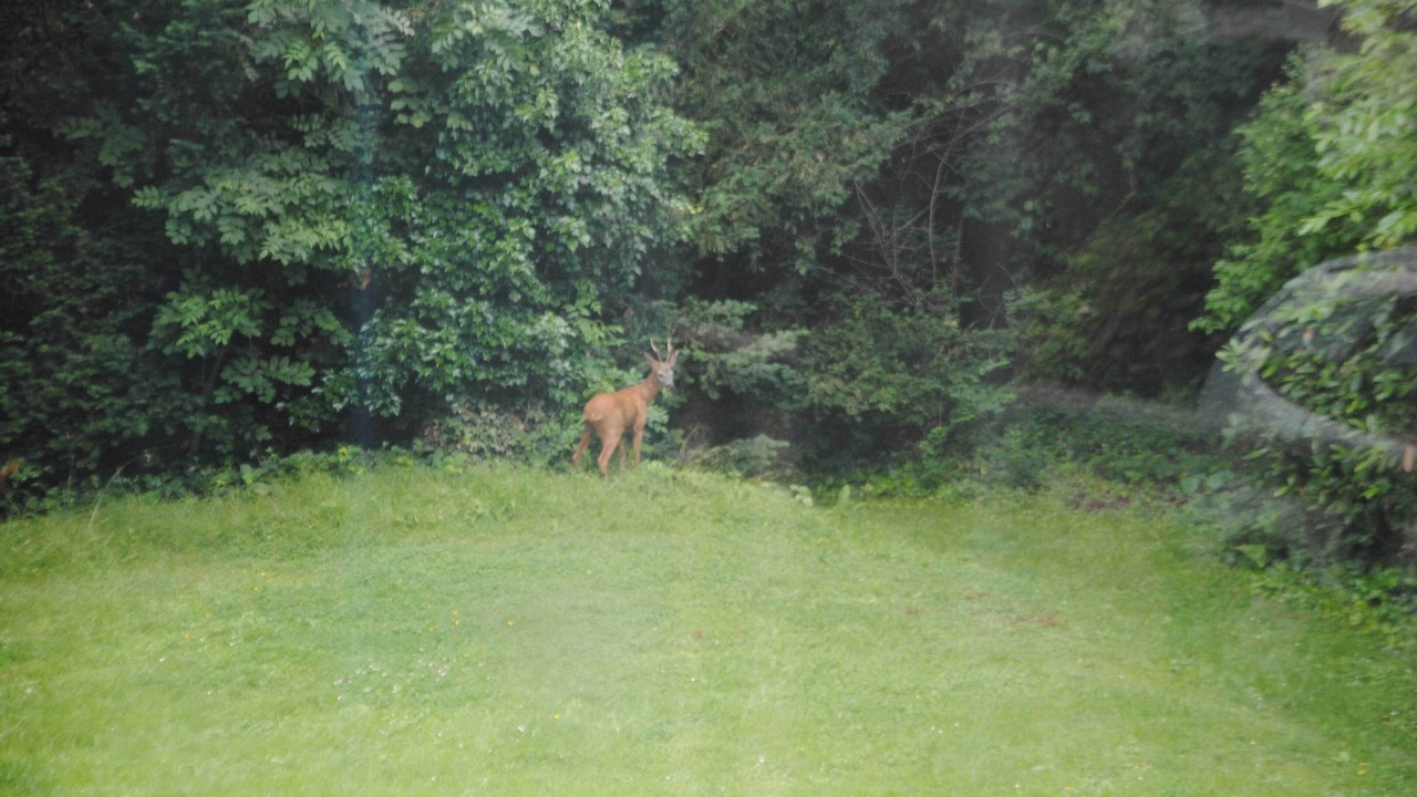Photo of Others in Montevrain