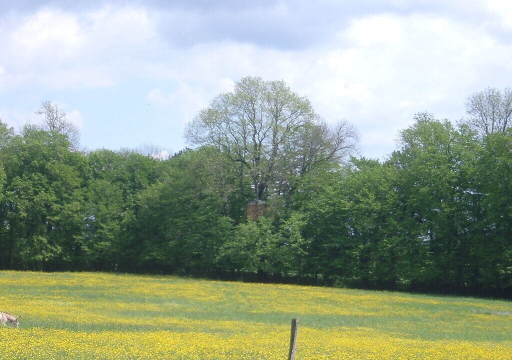 Photo of Others in Nomecourt