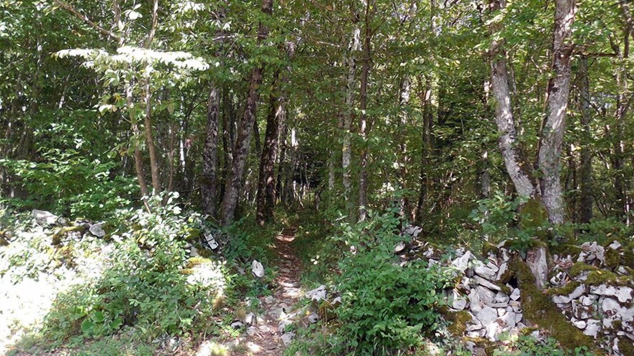 Photo of Outdoor in Detain-et-Bruant