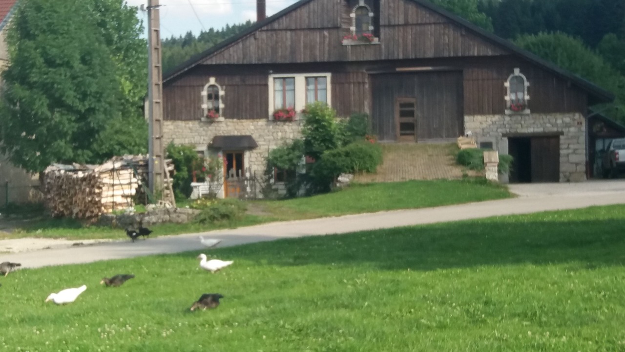 Photo of Outdoor in La Chenalotte