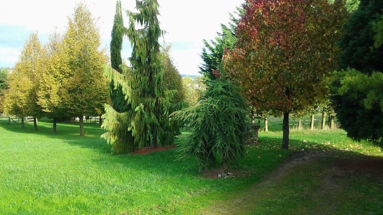 Photo of Outdoor in Fublaines