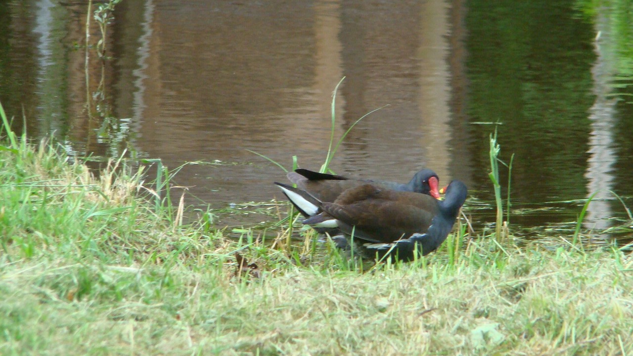 Photo of Outdoor in Saint-Jean-aux-Bois