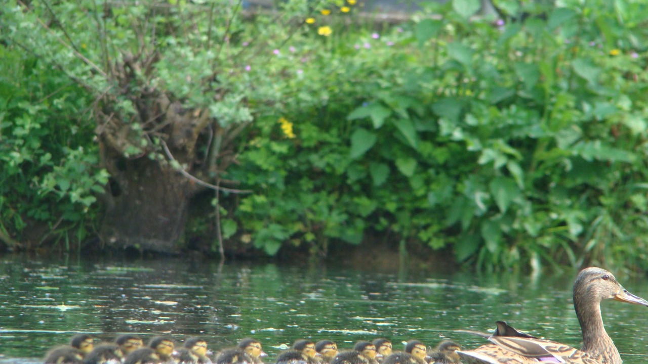 Photo of Outdoor in Saint-Jean-aux-Bois