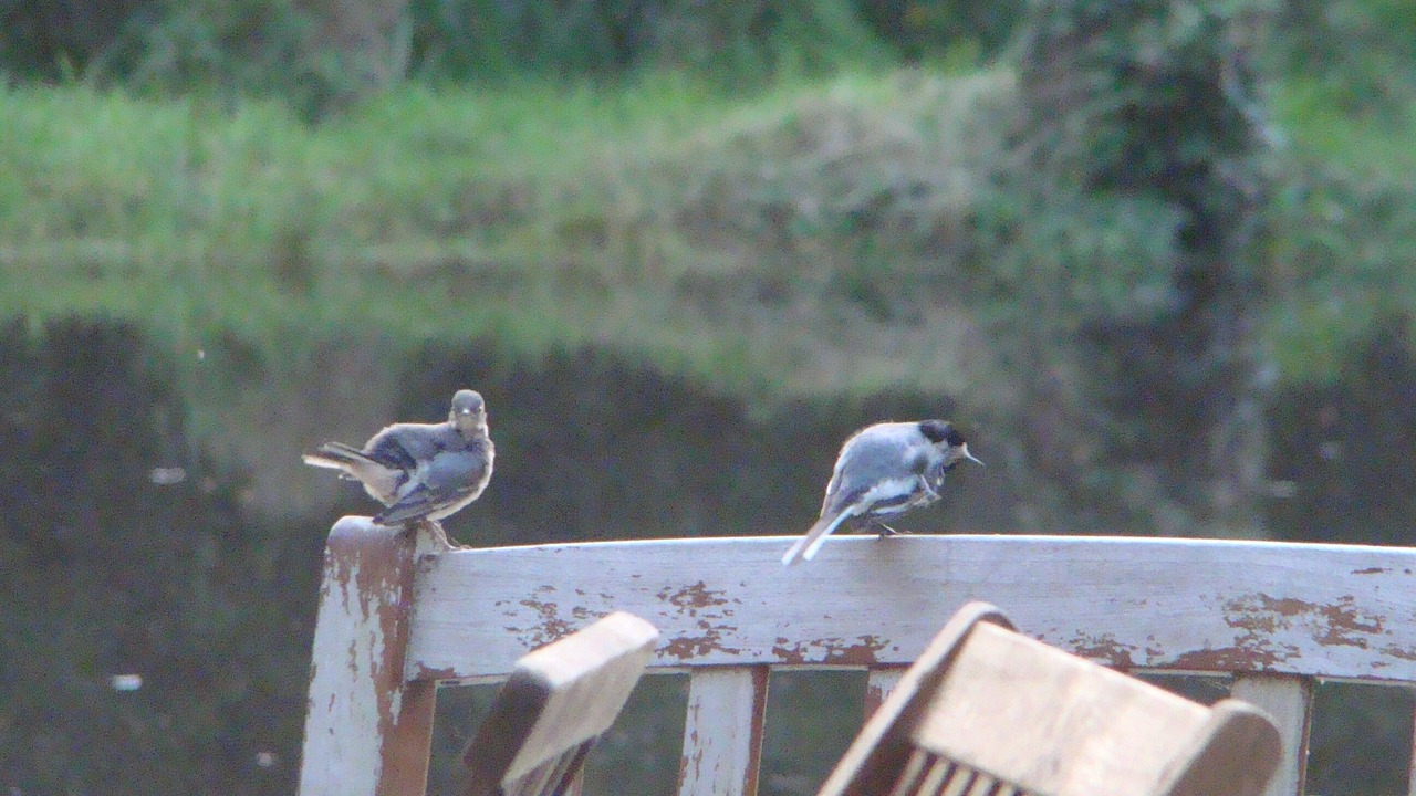 Photo of Outdoor in Saint-Jean-aux-Bois