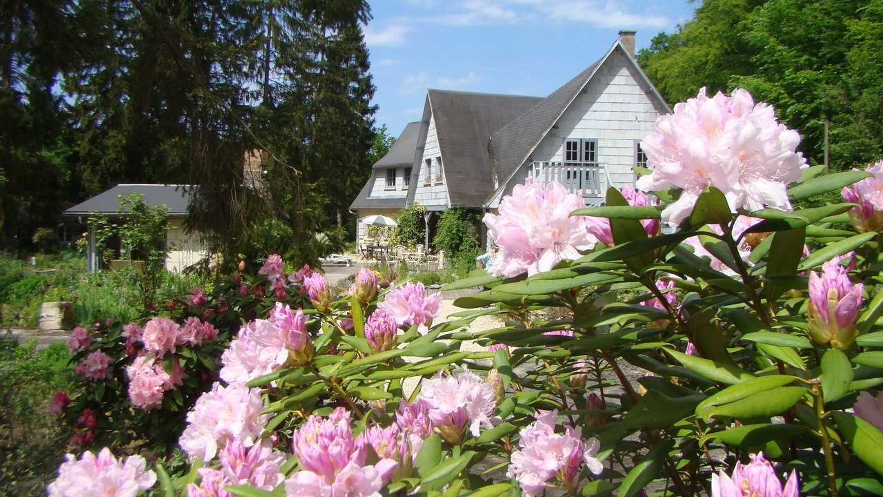 Photo of Outdoor in Saint-Jean-aux-Bois