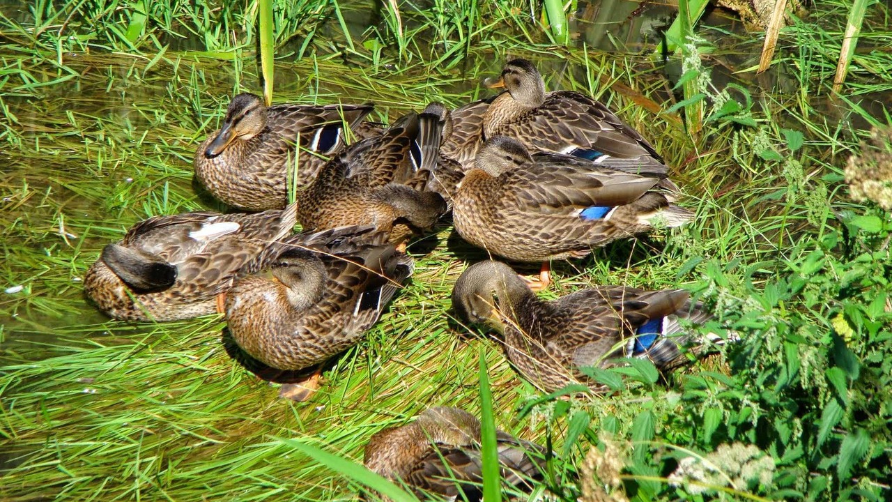 Photo of Outdoor in Saint-Jean-aux-Bois