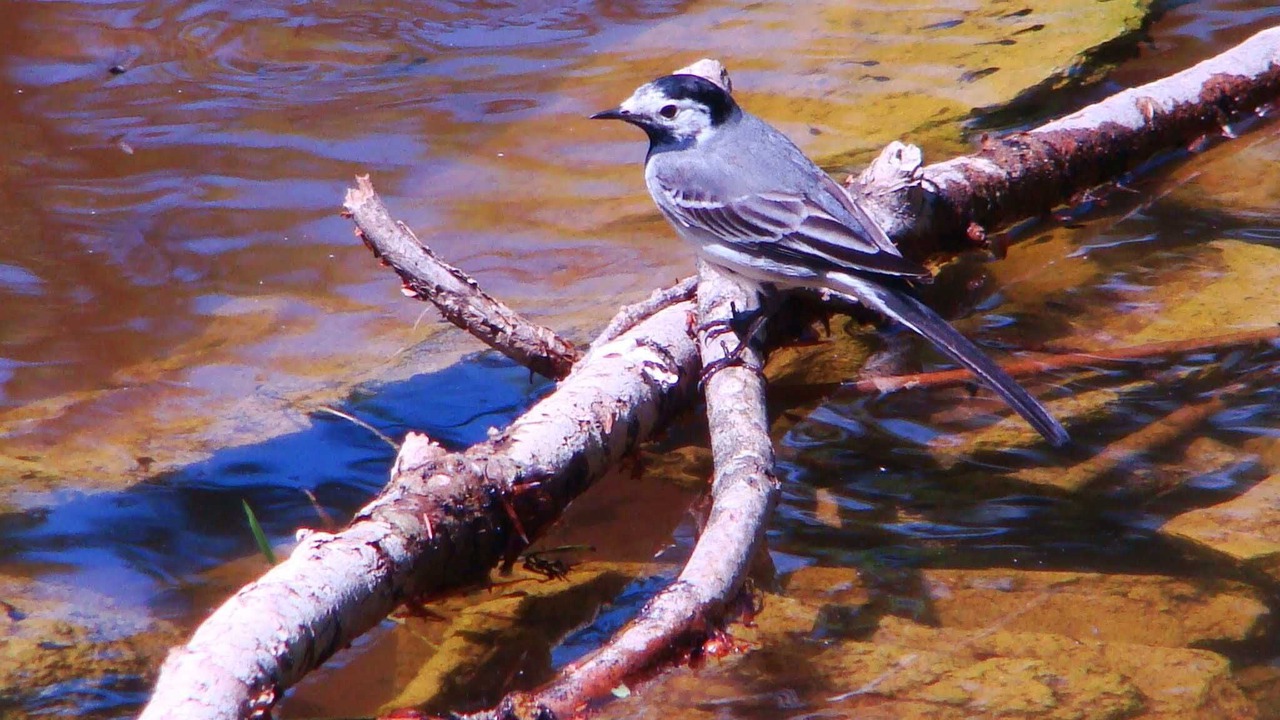 Photo of Outdoor in Saint-Jean-aux-Bois