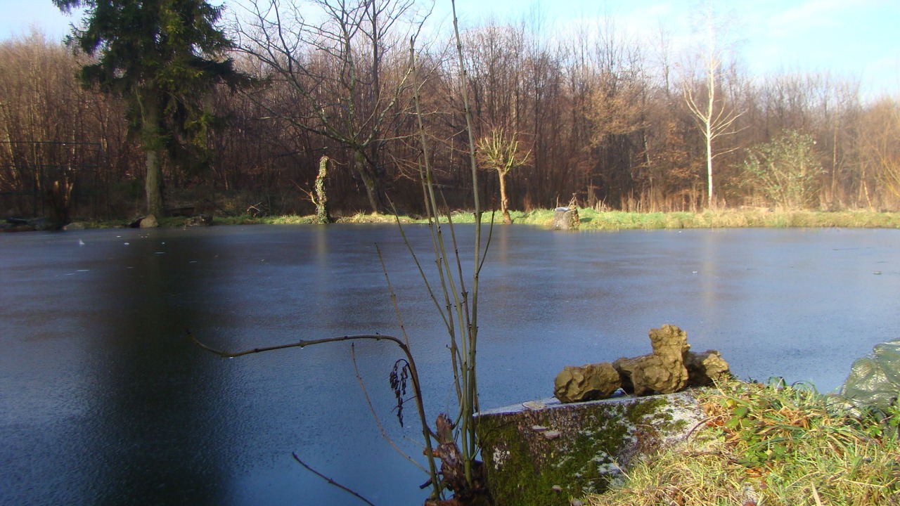 Photo of Outdoor in Saint-Jean-aux-Bois