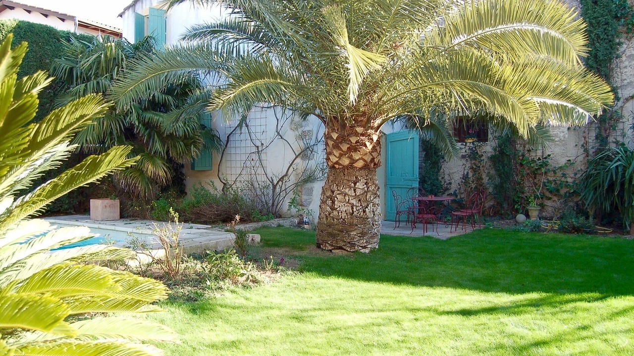Photo of Outdoor in Nissan-lez-Enserune