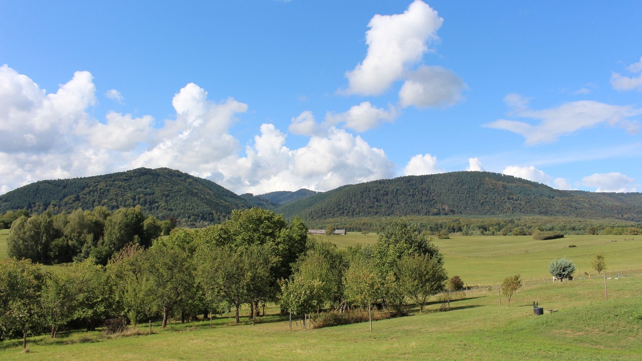 Photo of Others in Niederhaslach